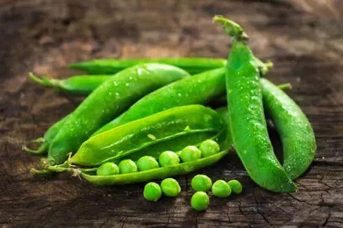 娱乐吃瓜又吃豆